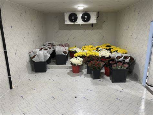 淄博鲜花冷库